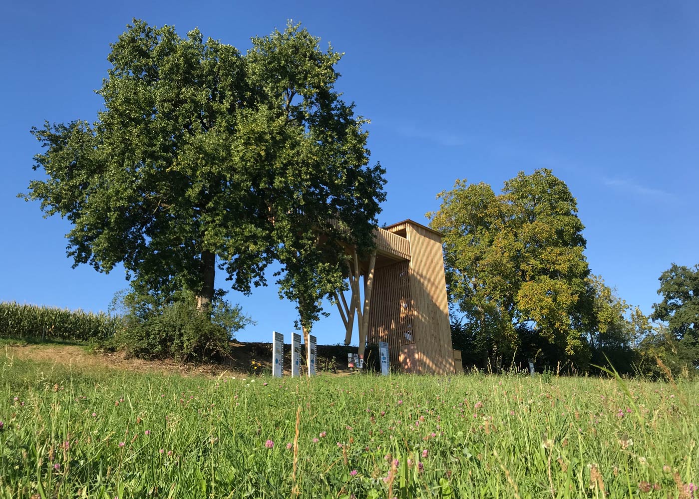 Die Entstehung des Turmes